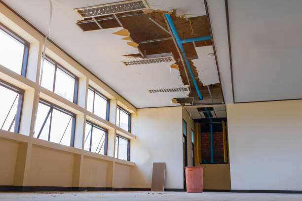 Best Ceiling water damage repair  in West Modesto, CA