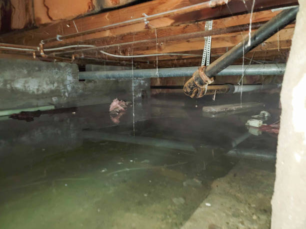 Best Local water damage restoration  in West Modesto, CA