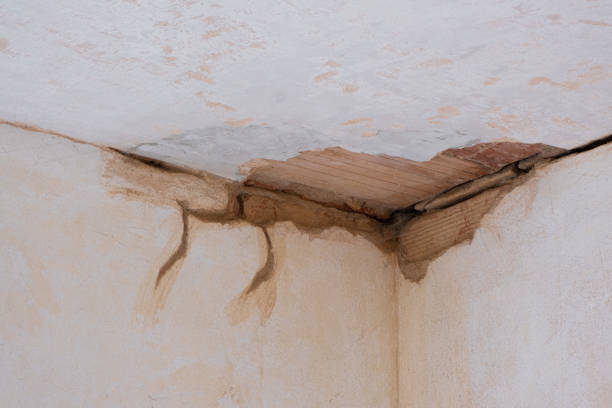 Best Professional water damage repair  in West Modesto, CA