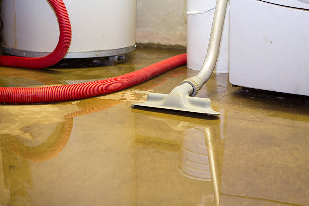 Best 24/7 water damage repair  in West Modesto, CA