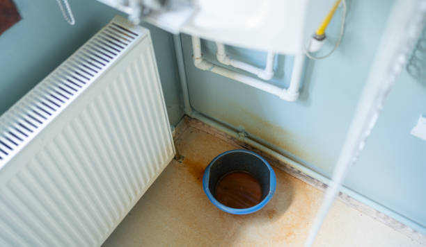 Best Water damage cleanup near me  in West Modesto, CA