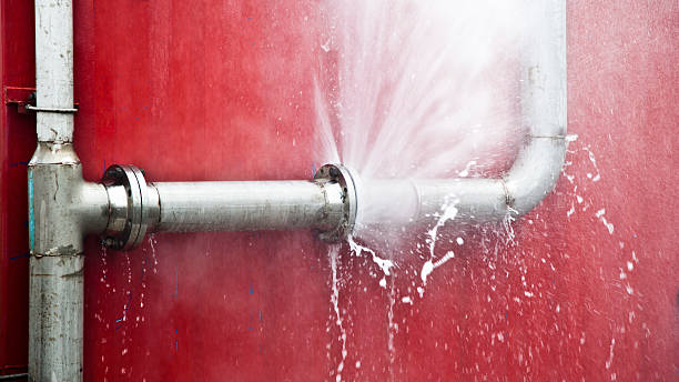 Best Flooded house restoration  in West Modesto, CA